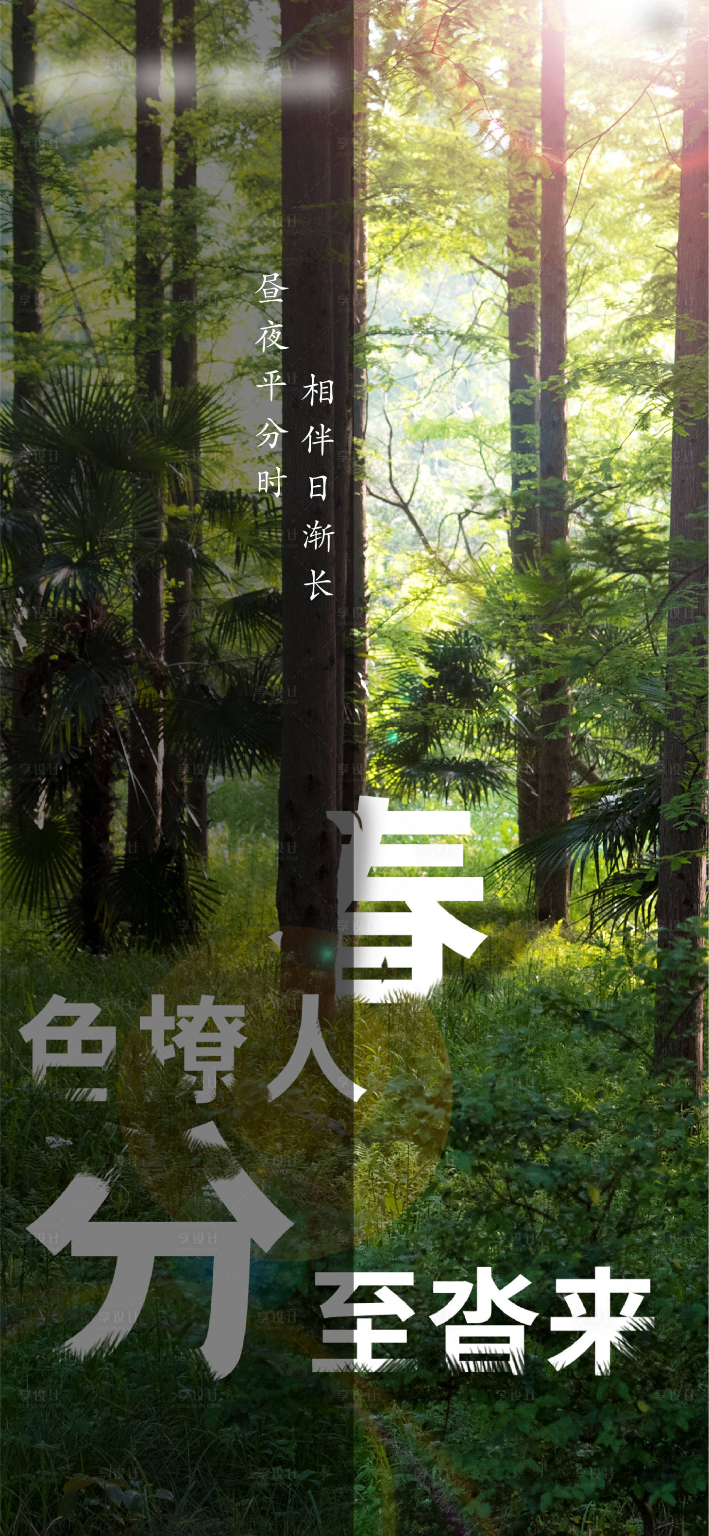 源文件下载【享设计】搜索编号：91030004028918234【春分节气移动端海报】