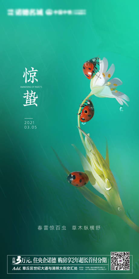 源文件下载【地产 惊蛰海报】编号：77080003671485458