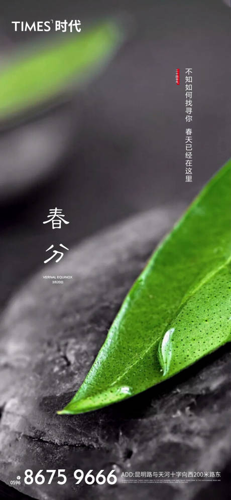 源文件下载【春分节气海报】编号：82740003723449338