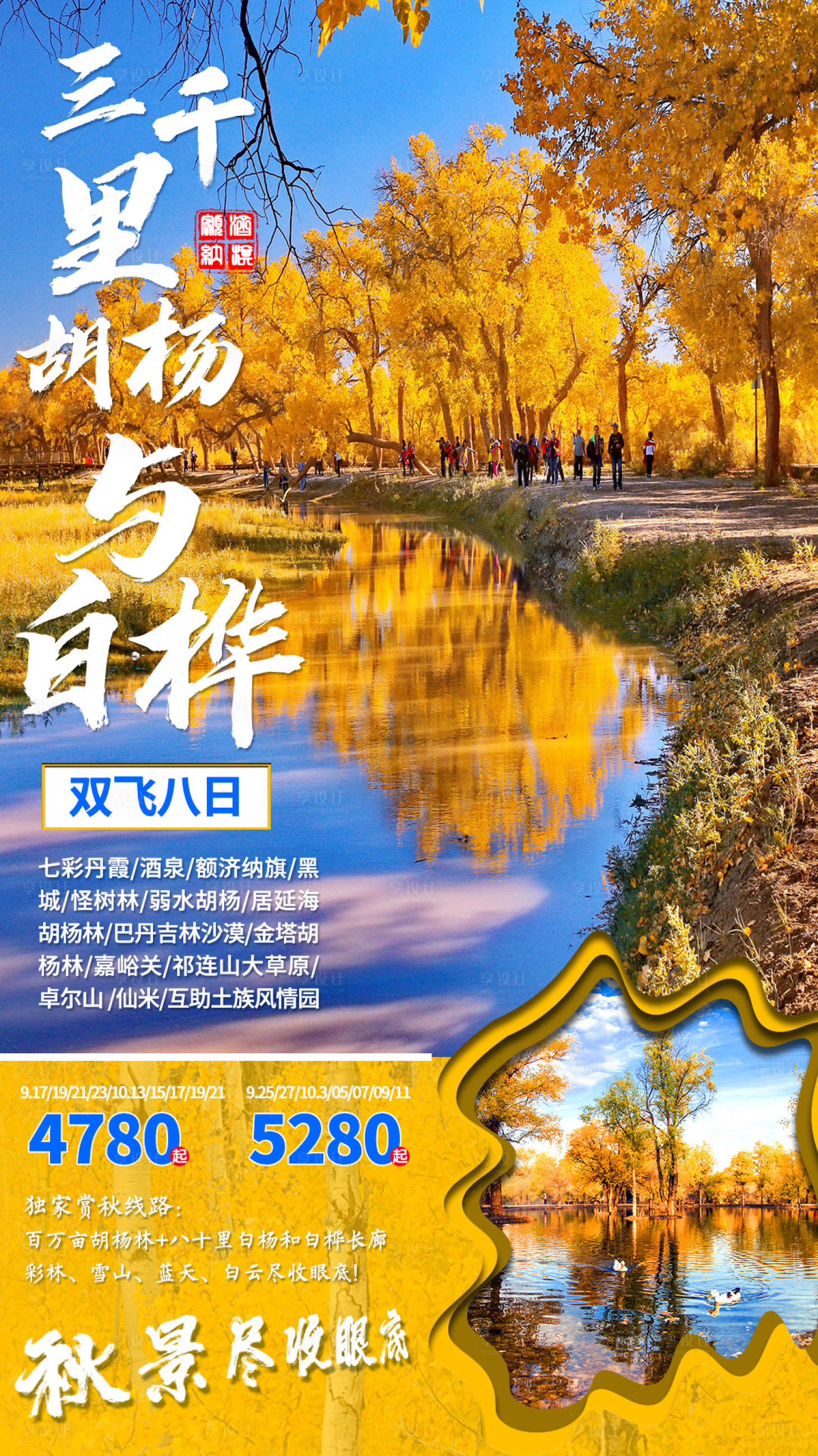 三千里胡杨与白桦