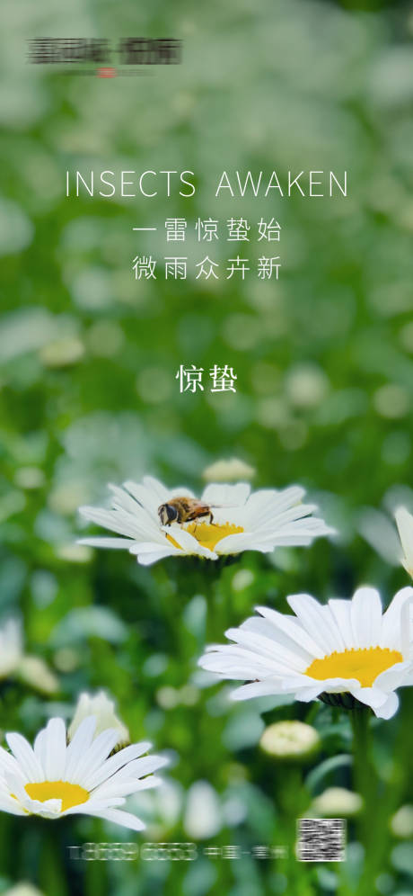 源文件下载【惊蛰 】编号：19150003700675746