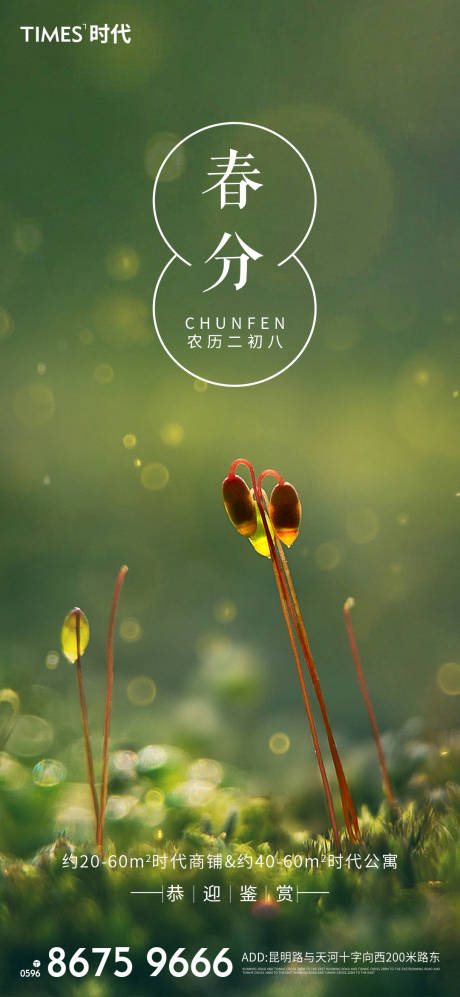 源文件下载【享设计】搜索编号：46060003757381262【春分】
