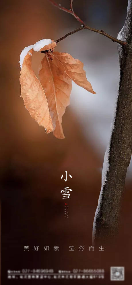 源文件下载【小雪节气海报】编号：50490004072713959