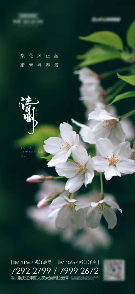 源文件下载【清明节海报】编号：76620004016374980