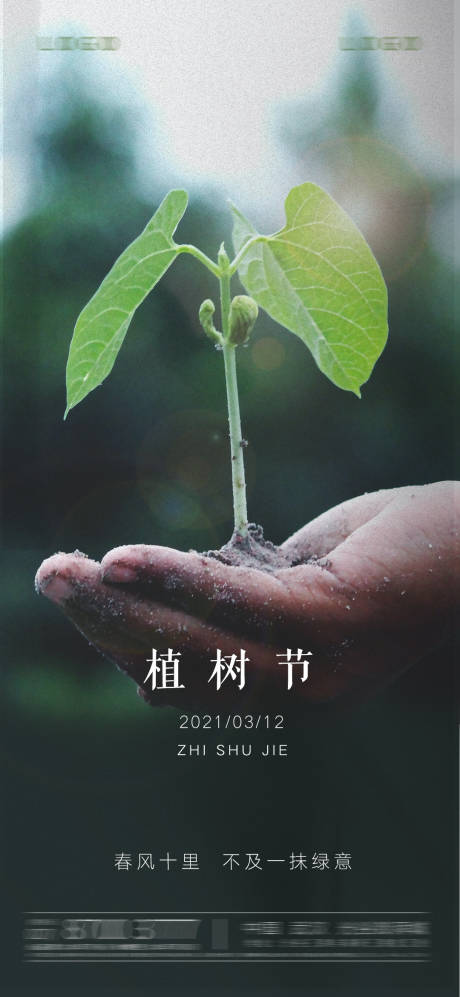 源文件下载【植树节春分节气】编号：45070003749776702