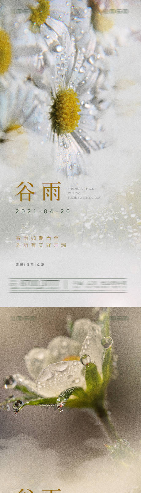 源文件下载【谷雨节气海报】编号：51190004087495331