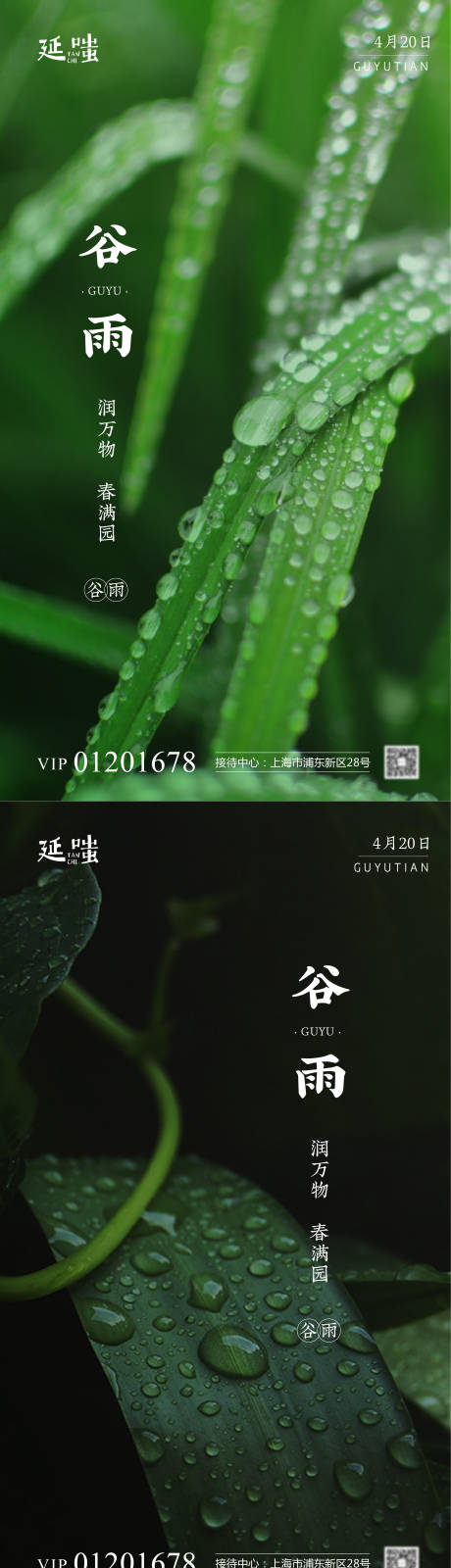 源文件下载【极简简约谷雨雨水节气系列海报】编号：20210323161327937