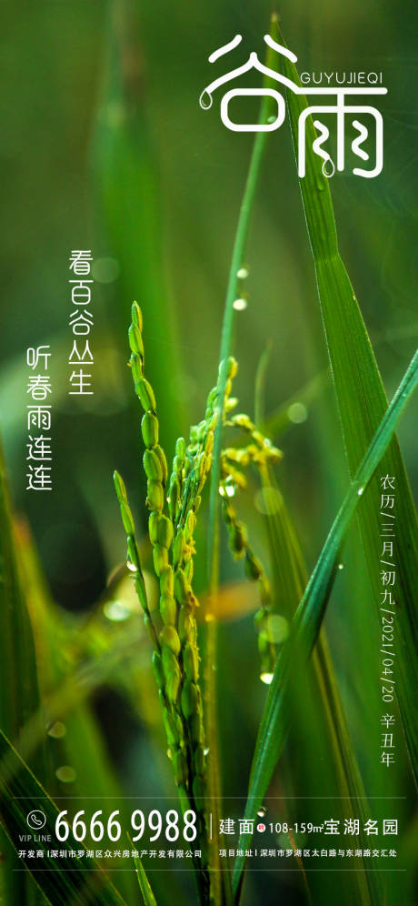 源文件下載【谷雨節(jié)氣海報】編號：41040003991956462