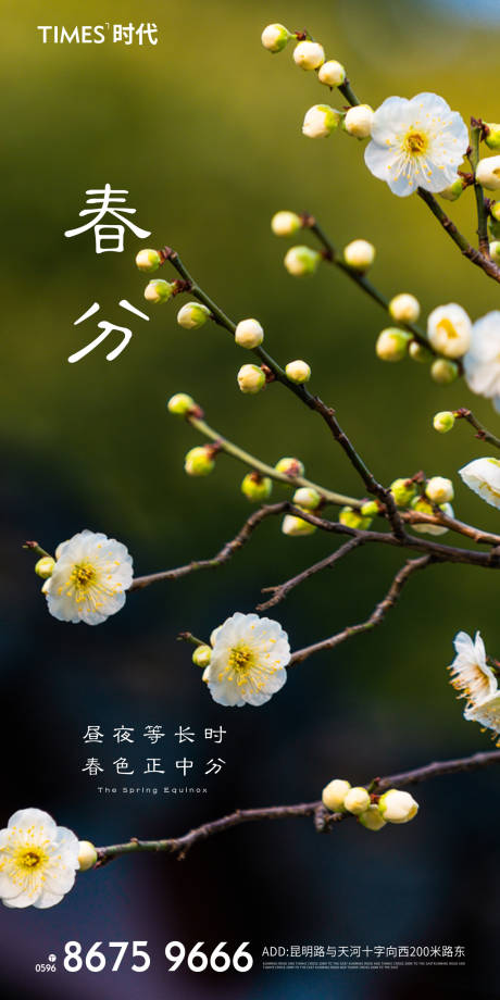 源文件下載【享設計】搜索編號：25050003723387678【春分節氣海報】