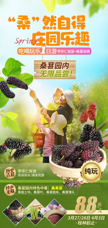 源文件下载【庄园桑葚采摘春游旅游海报】编号：50990003875243438