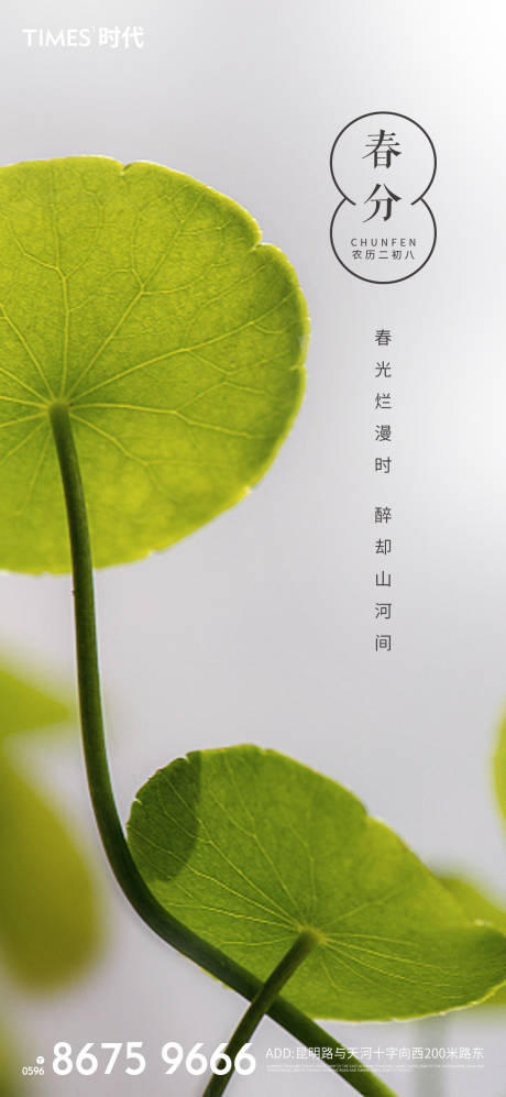 源文件下載【享設(shè)計(jì)】搜索編號(hào)：80740003762724651【春分節(jié)氣海報(bào) 】