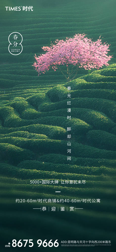 源文件下载【春分节气海报 】编号：24090003762716612