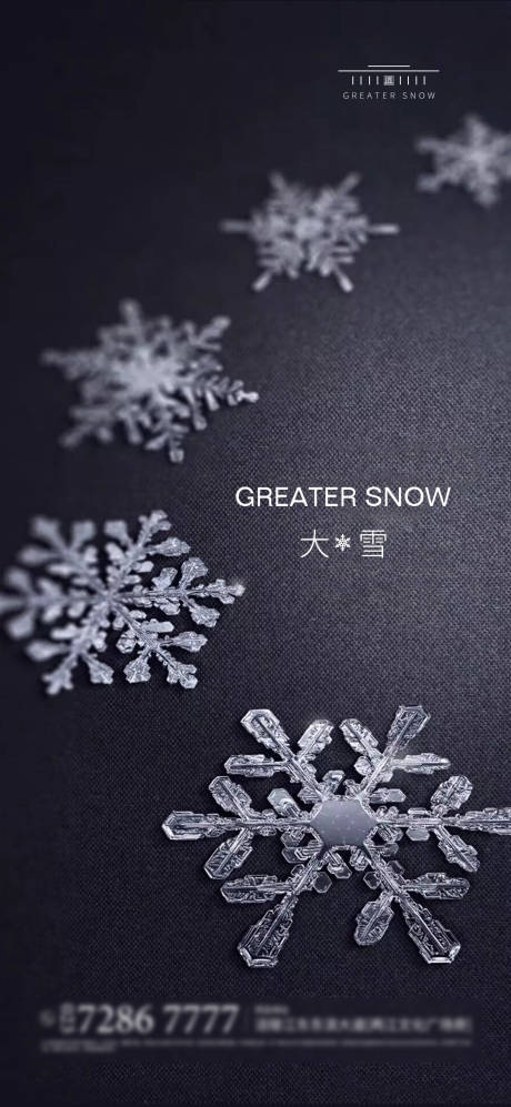 源文件下载【大雪】编号：49680003995902543