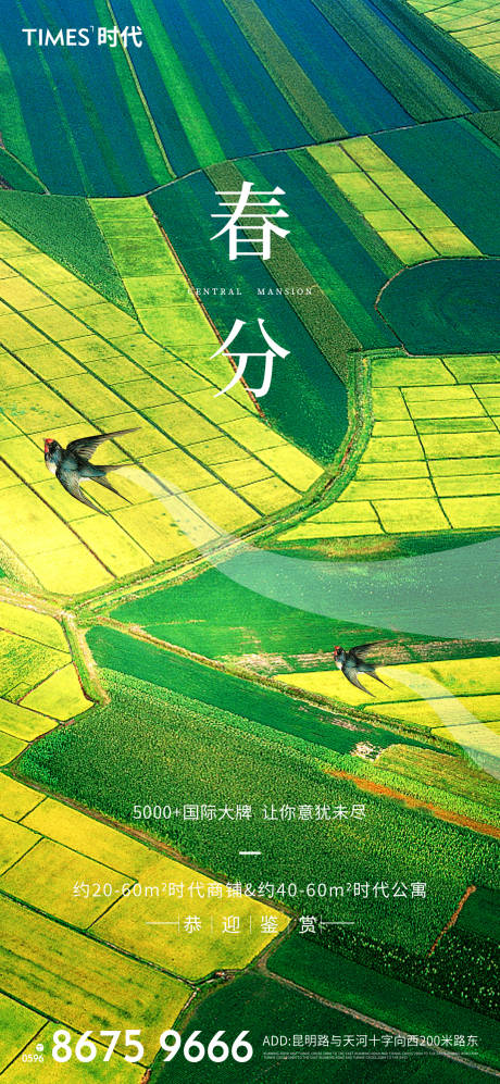 源文件下載【春分】編號：51220003681184180