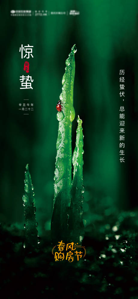 源文件下载【享设计】搜索编号：69680004008751426【惊蛰海报】