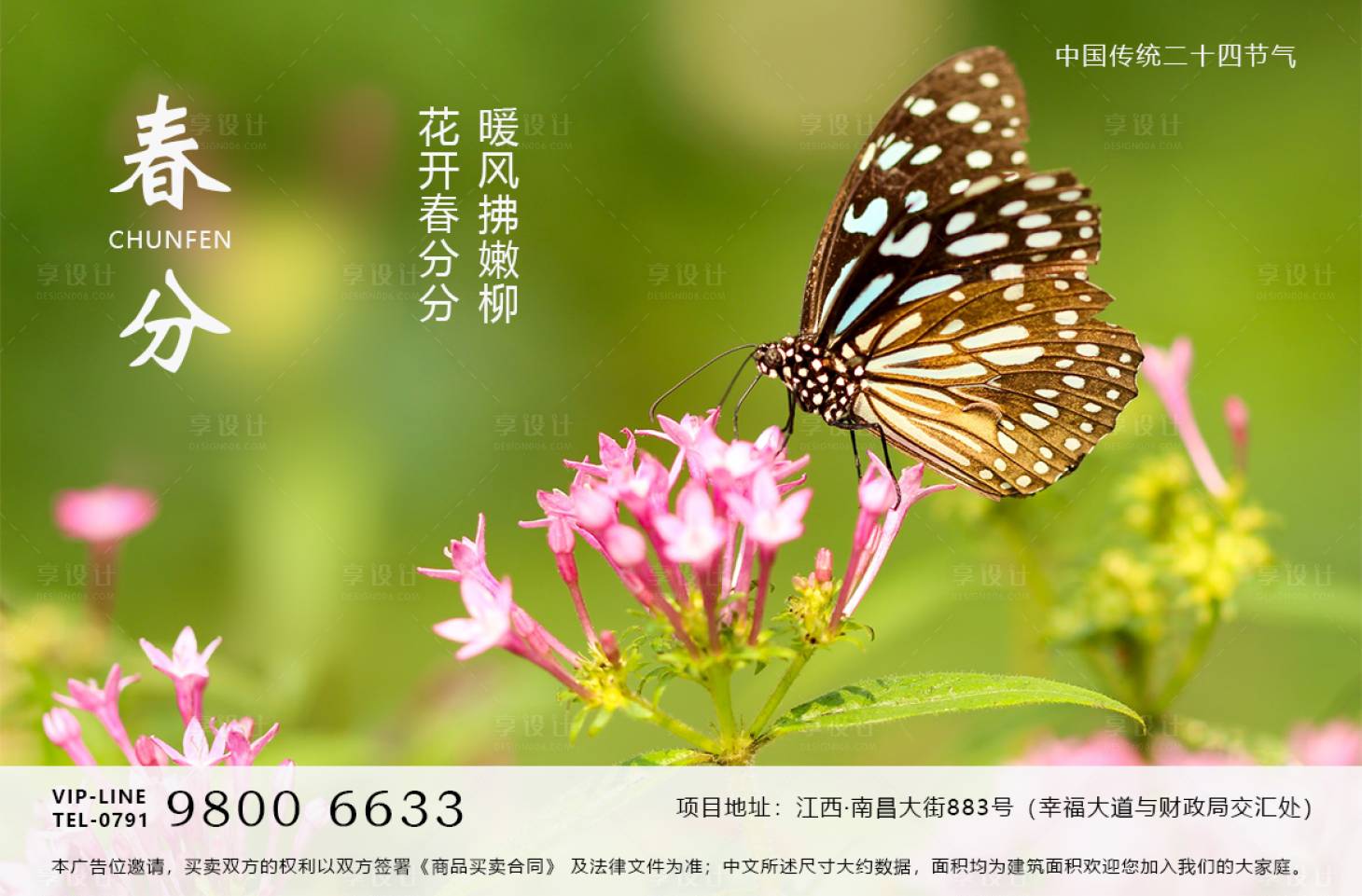 源文件下载【春分海报】编号：90200003883061833