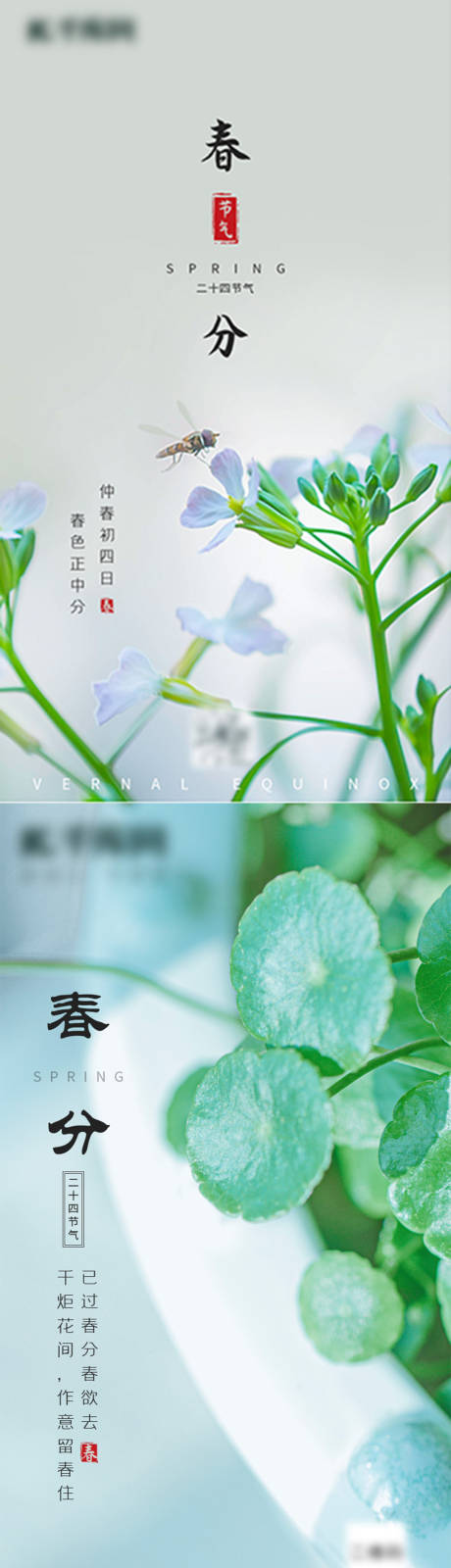 源文件下载【享设计】搜索编号：81750003818332581【春分海报】