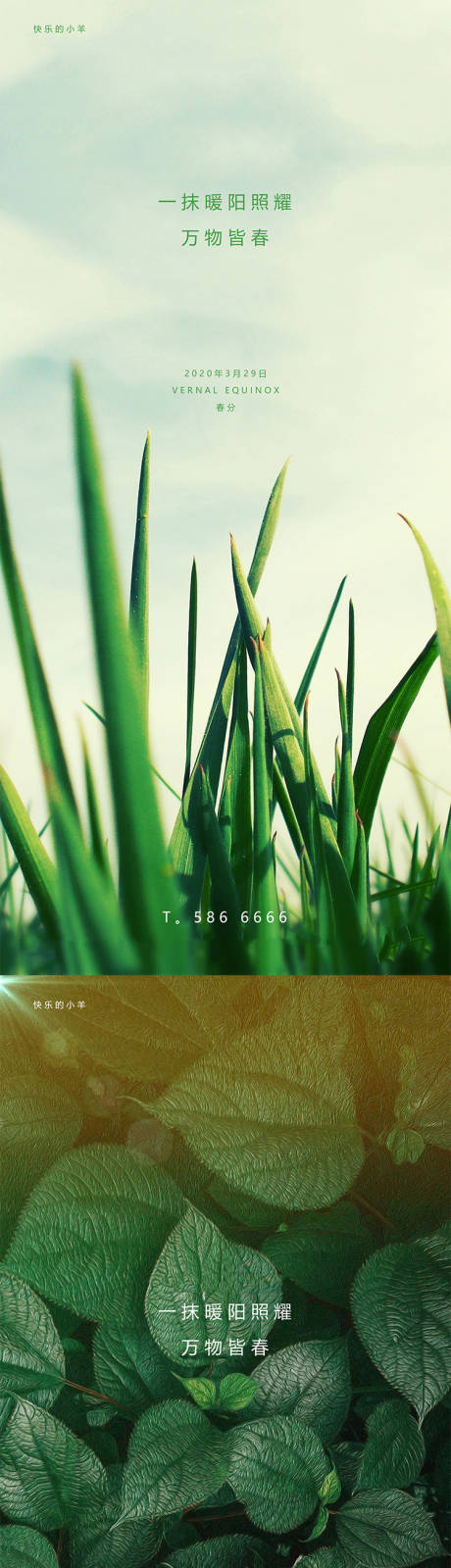 源文件下載【春分節氣海報】編號：66490003699301263