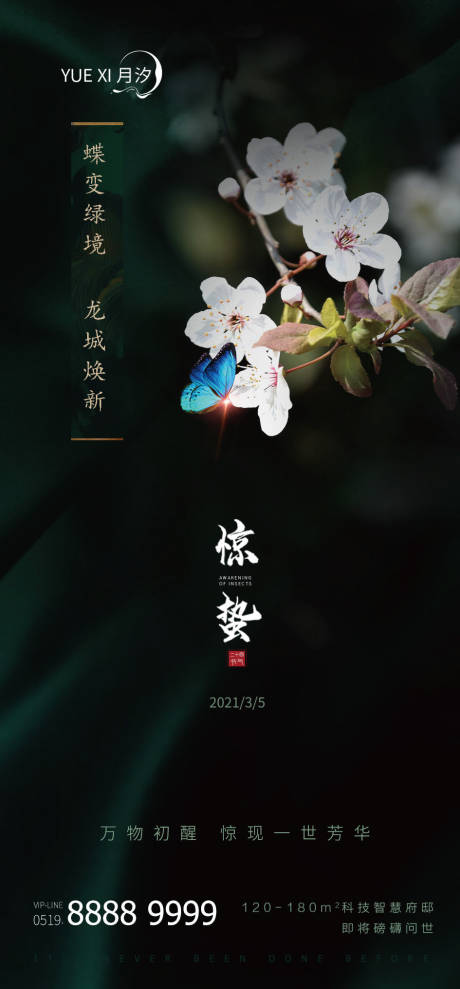 源文件下載【驚蟄海報】編號：39190003662398353