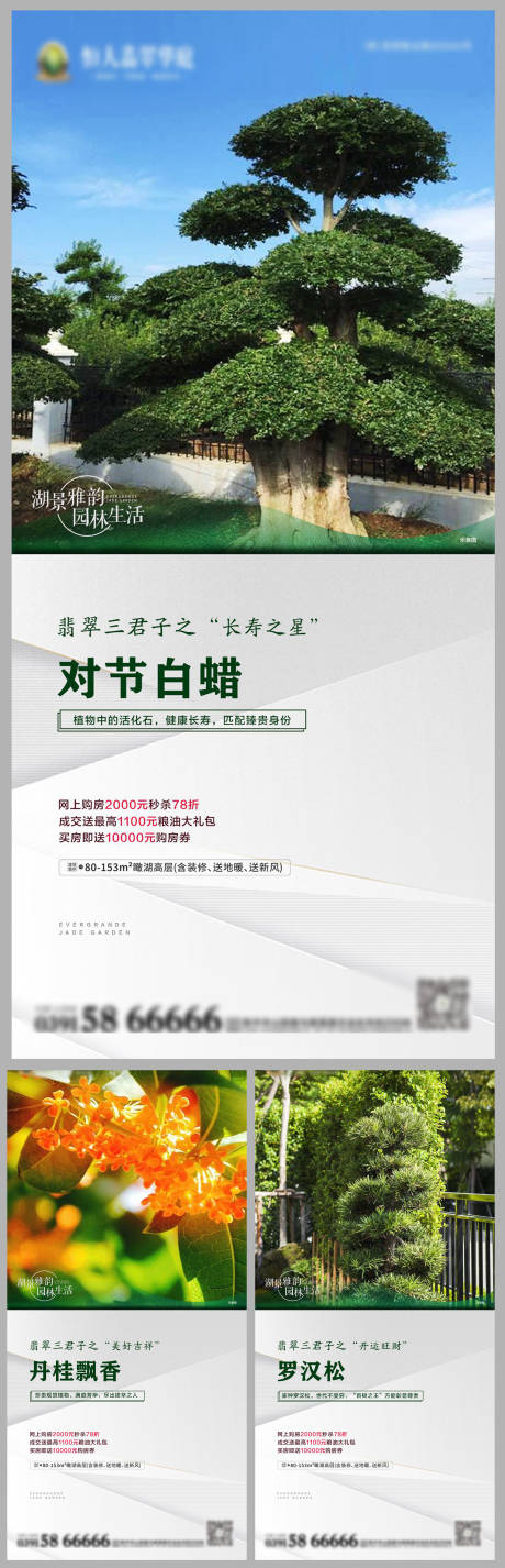 编号：20210306175103255【享设计】源文件下载-园林植物卖点系列海报