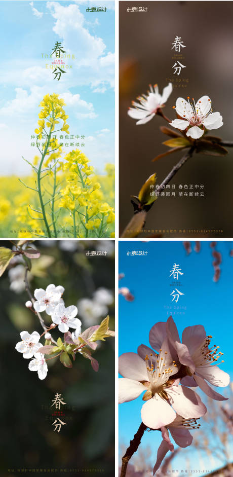 源文件下載【享設(shè)計(jì)】搜索編號(hào)：32850003751296413【春分節(jié)氣移動(dòng)端海報(bào)】