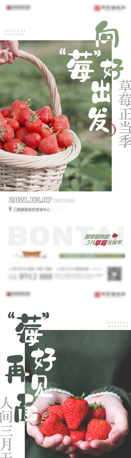 摘草莓活动系列海报-源文件【享设计】