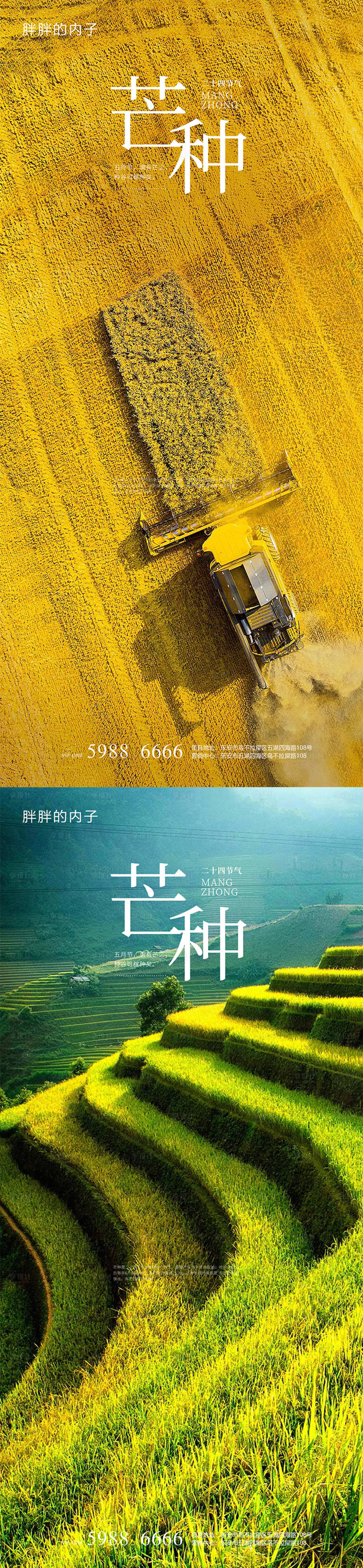 源文件下載【享設(shè)計(jì)】搜索編號(hào)：86150003941295389【芒種節(jié)氣系列海報(bào)】