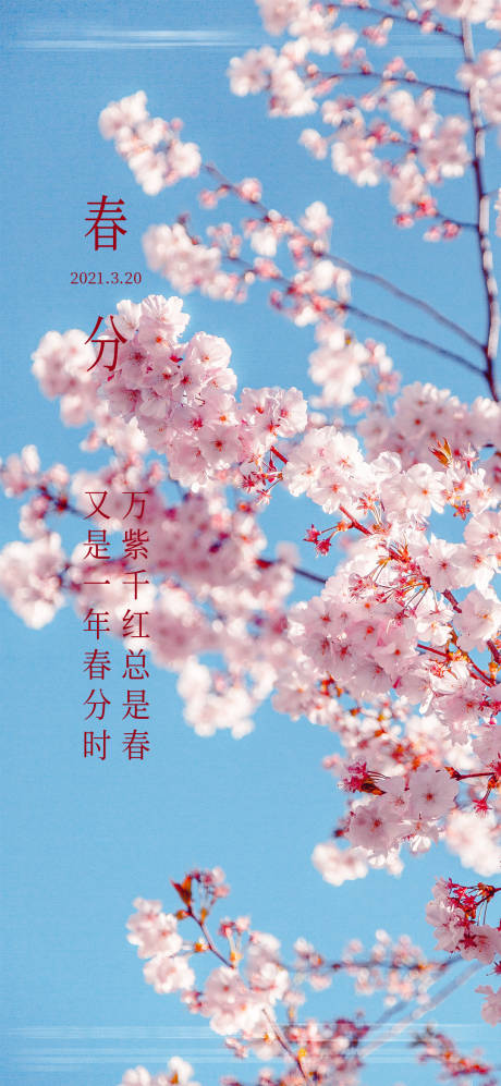 源文件下載【享設(shè)計】搜索編號：25190003819202246【春分節(jié)氣海報】