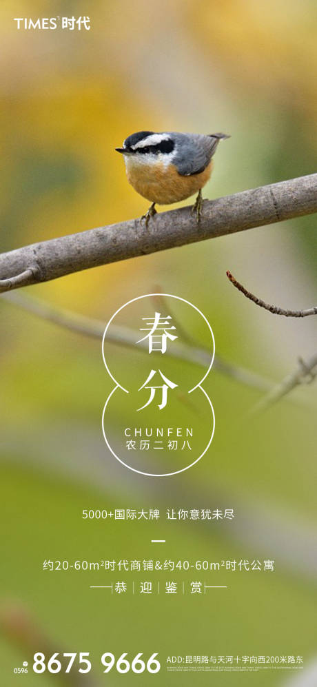 源文件下載【春分海報 】編號：97560003757807619