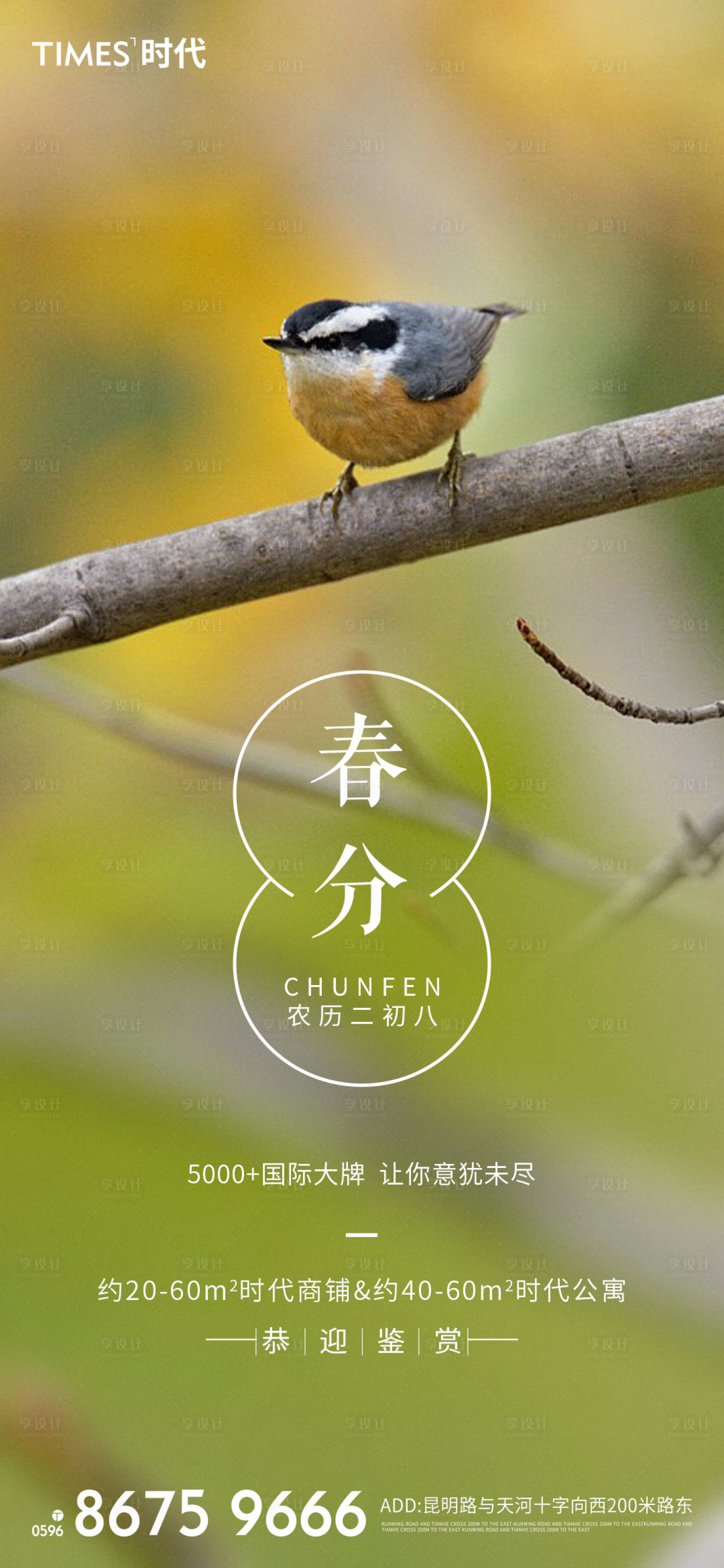 源文件下載【春分海報 】編號：97560003757807619
