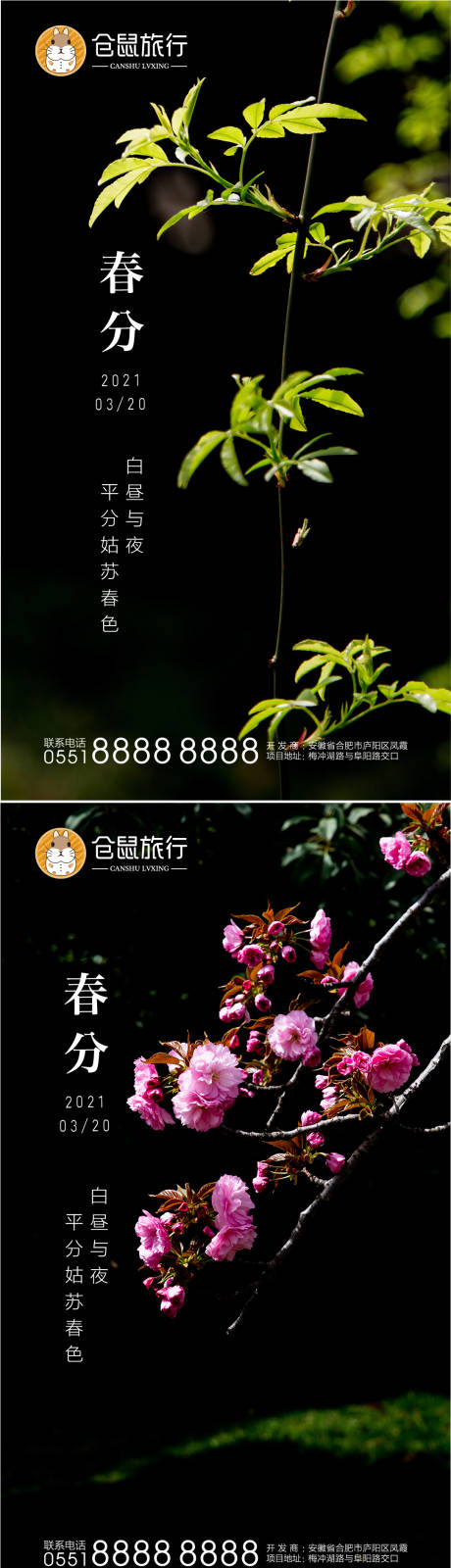 源文件下載【春分系列海報】編號：34470003911191032