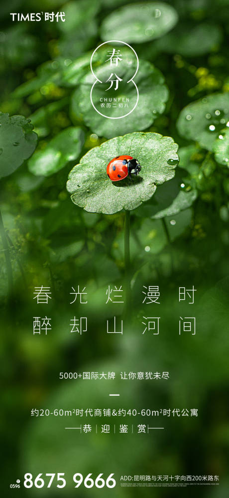 源文件下載【春分節氣海報 】編號：76180003763064840
