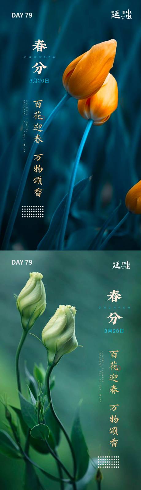 绿色花卉简约春分二十四节气系列海报-源文件【享设计】