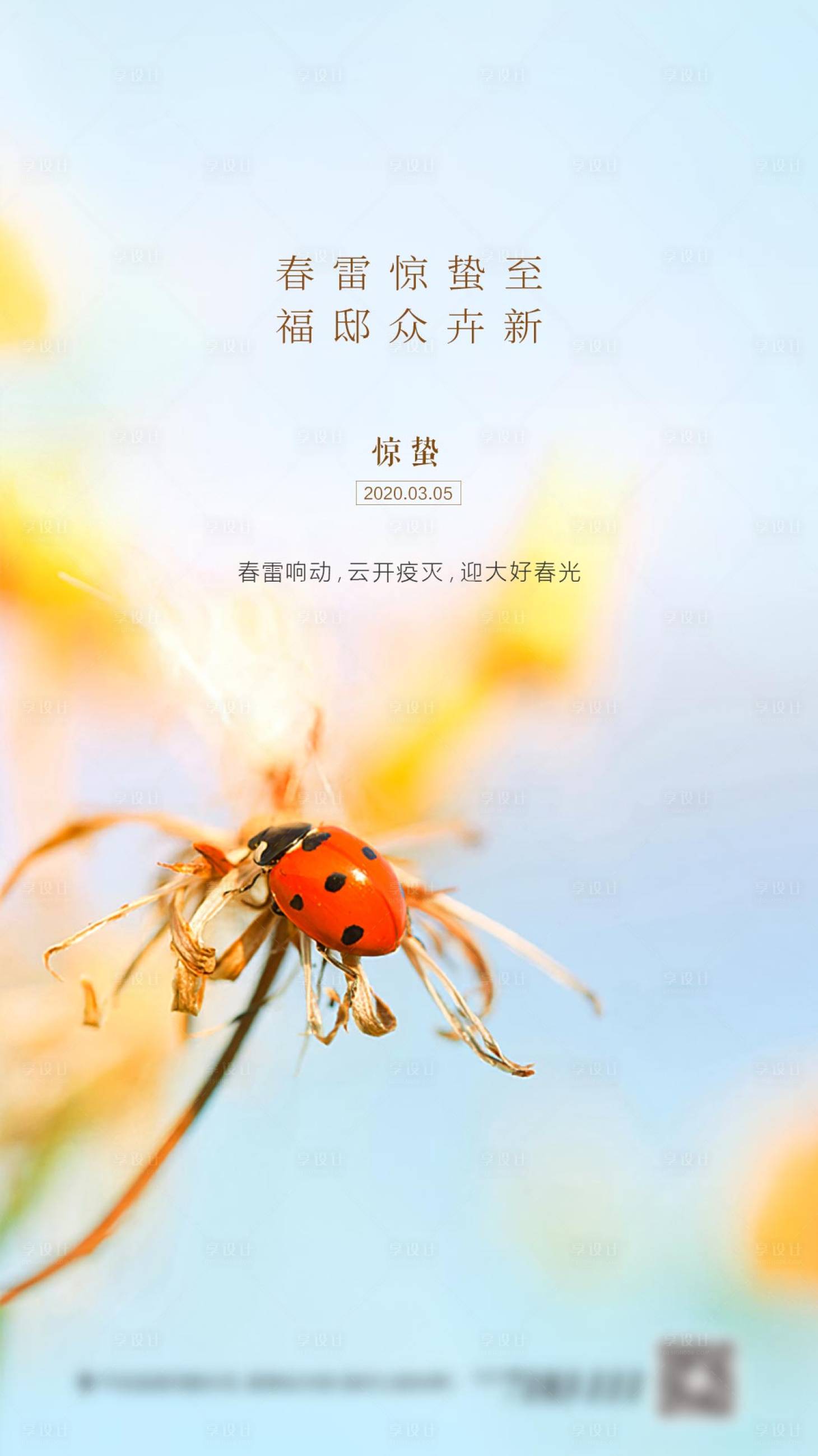 源文件下载【惊蛰节气】编号：80610003685618372