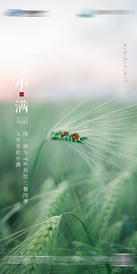 源文件下載【享設計】搜索編號：29220003799754903【小滿節氣移動端海報】