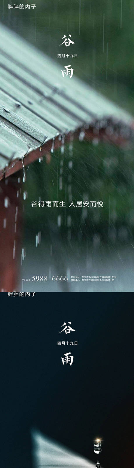 谷雨节气系列海报