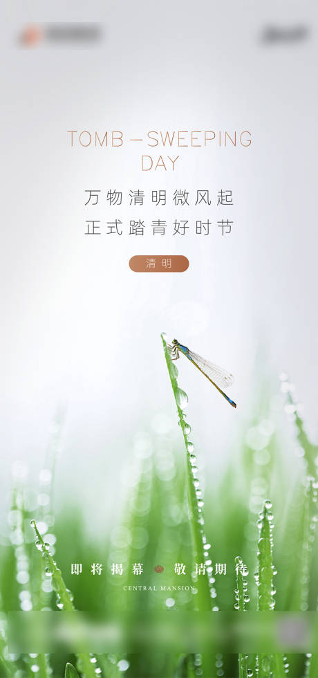 源文件下载【享设计】搜索编号：51400004070062655【清明节】