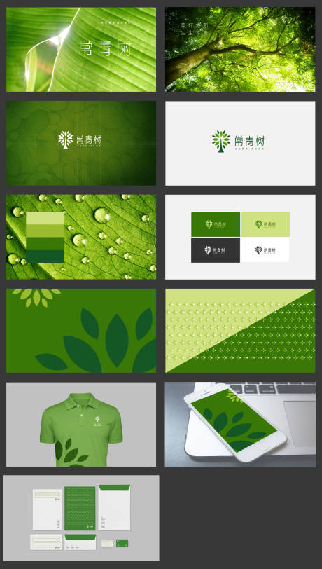 源文件下载【地产常青树活动VI及LOGO演绎】编号：96910003989744301