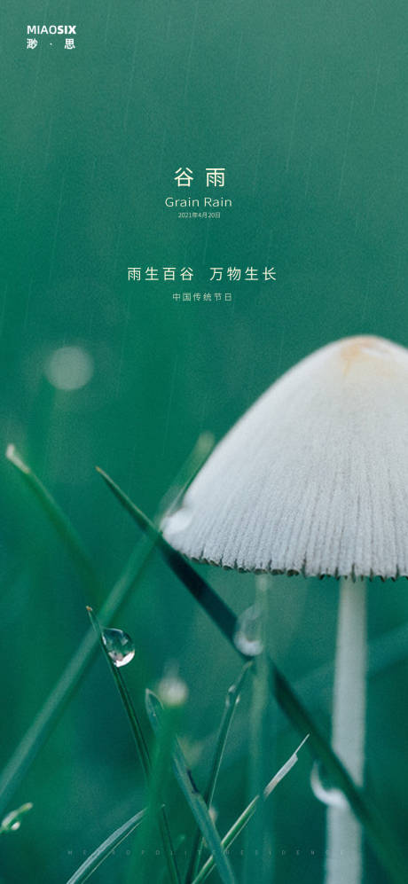 源文件下載【谷雨潤如油】編號：10270003767663336
