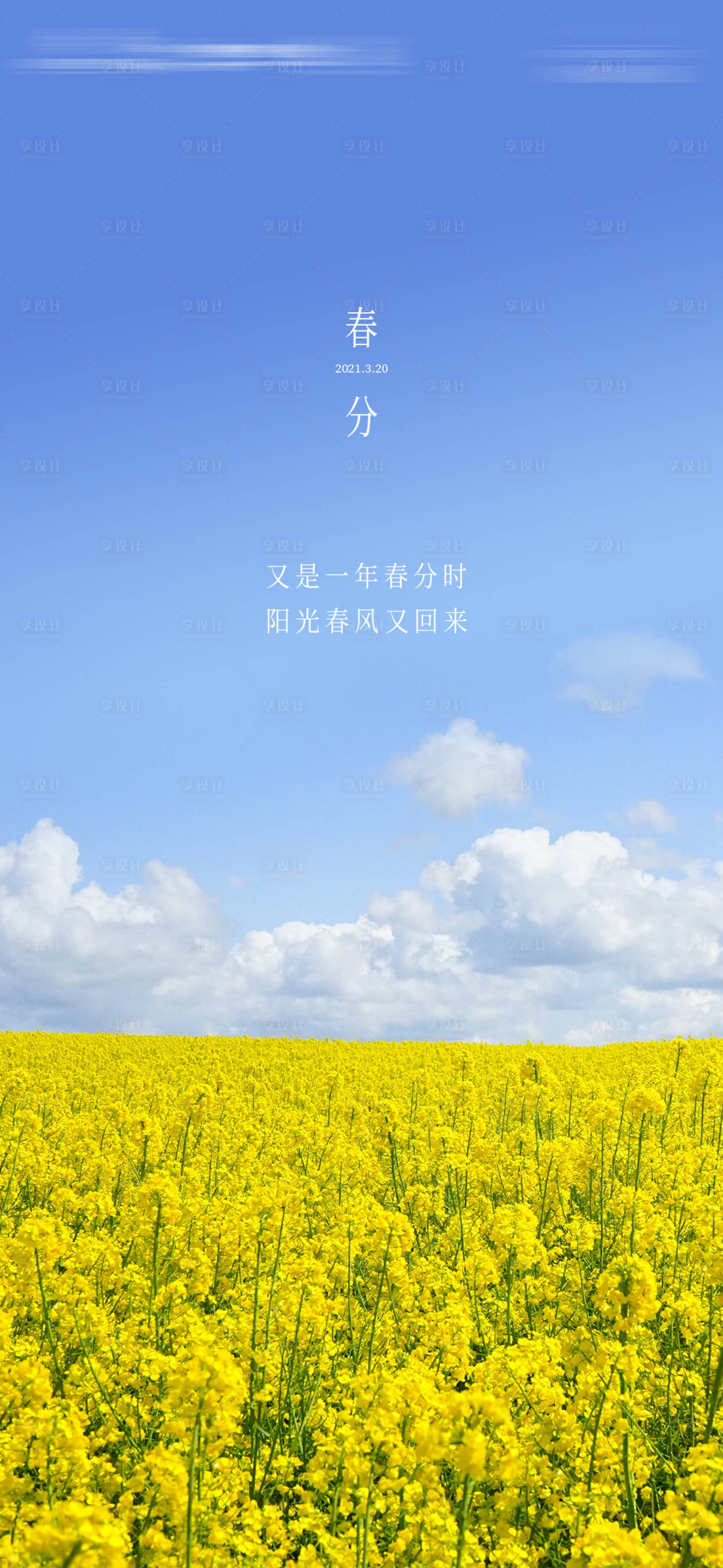 源文件下载【享设计】搜索编号：41850003819631106【油菜花春分节气海报】