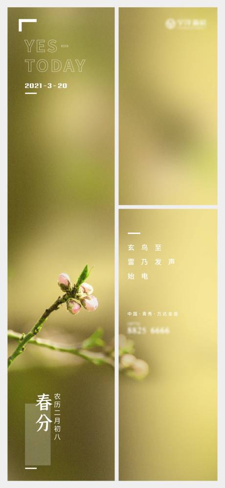 源文件下载【享设计】搜索编号：99020003843846030【春分节气移动端海报】