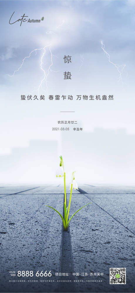 源文件下载【地产惊蛰海报】编号：20210303154129966