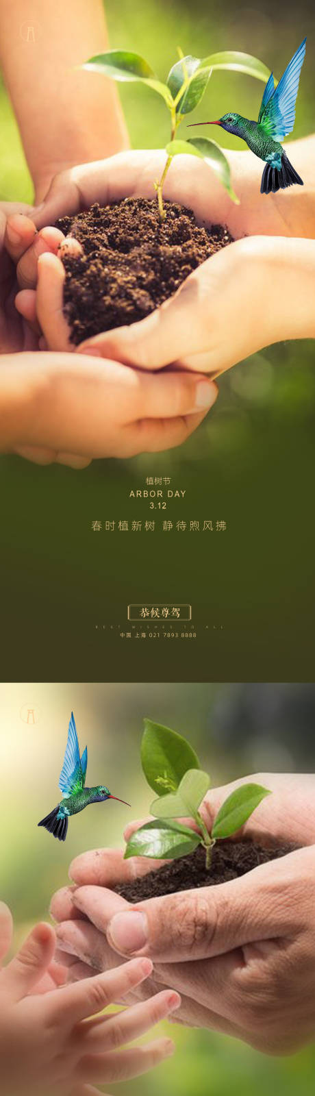 源文件下载【植树节系列海报】编号：79150003663993513