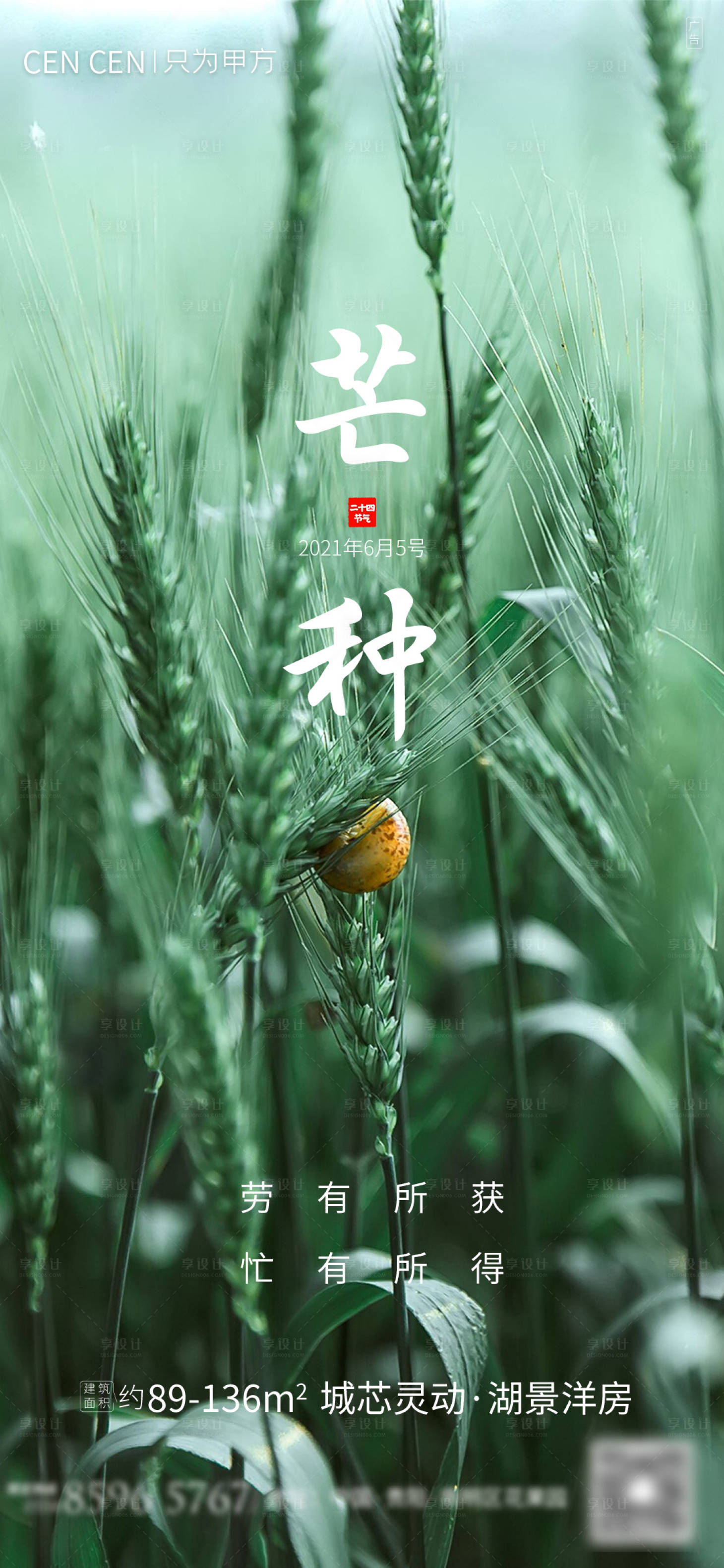 源文件下載【享設計】搜索編號：67880003860546560【芒種節氣移動端海報】