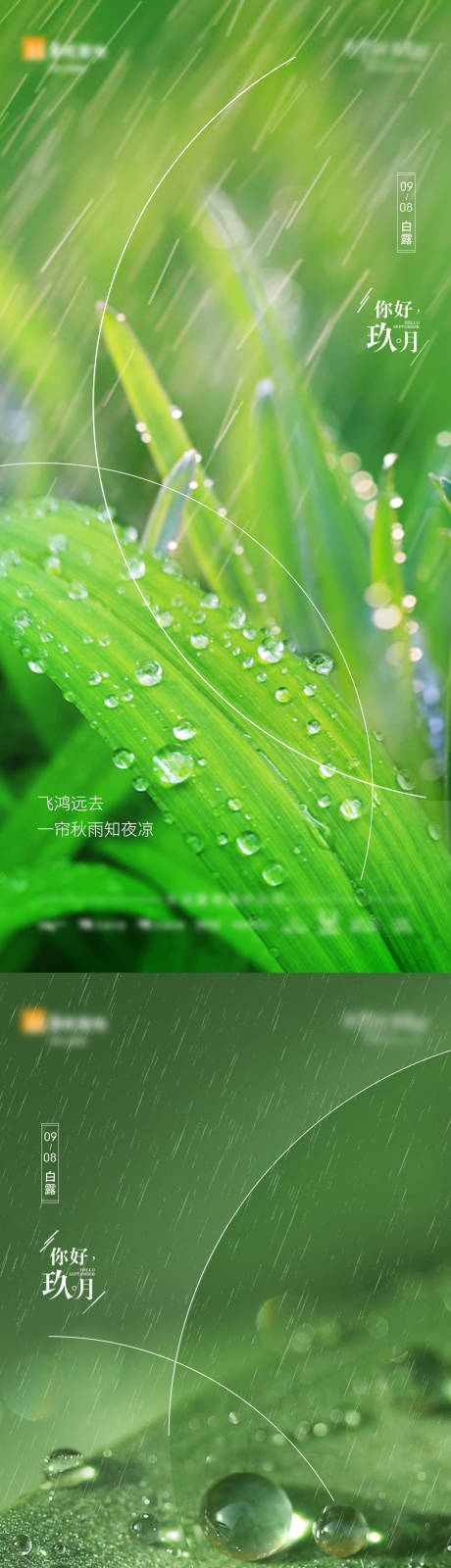 源文件下載【享設計】搜索編號：11730003806391617【白露  】