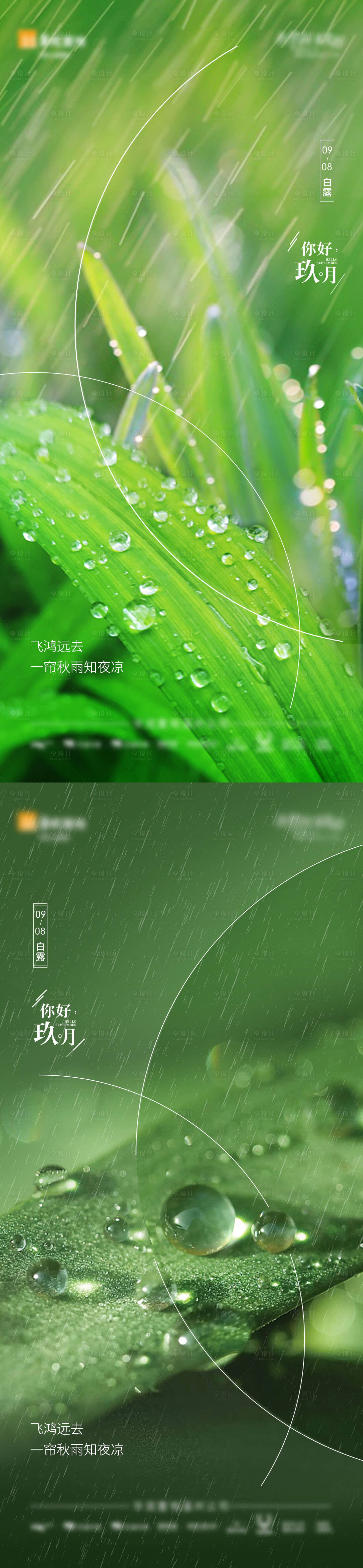 源文件下载【享设计】搜索编号：11730003806391617【白露  】