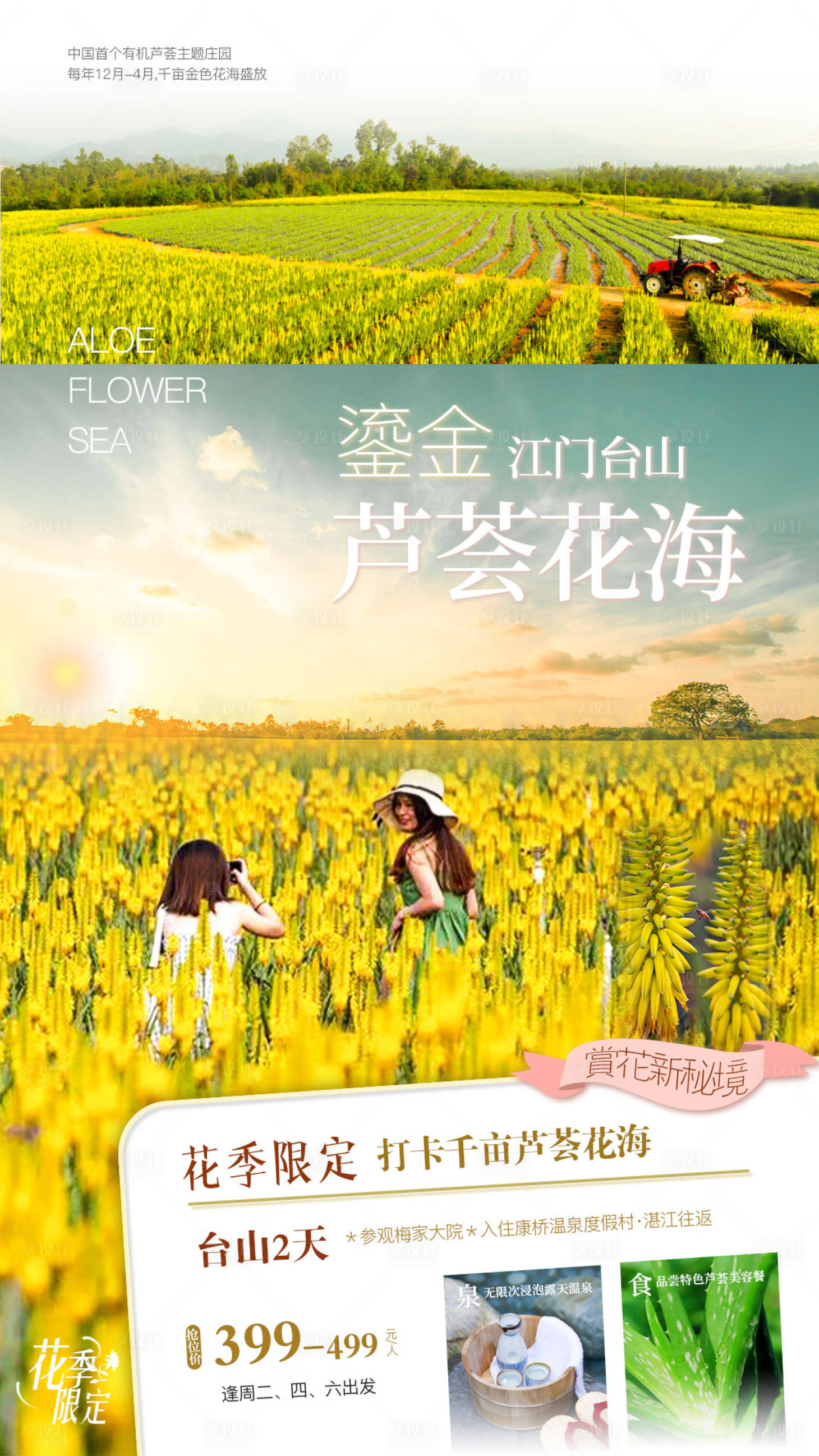 源文件下載【享設計】搜索編號：92170003695391913【旅游海報江門臺山蘆薈花海】