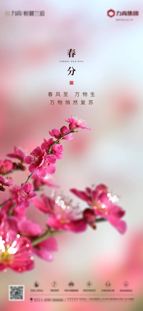 源文件下载【春分节气海报】编号：50760003841419942