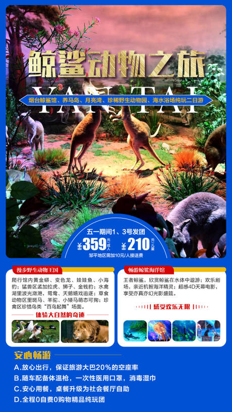源文件下載【旅游海報旅行海邊動物鯨鯊 】編號：69250004006007756