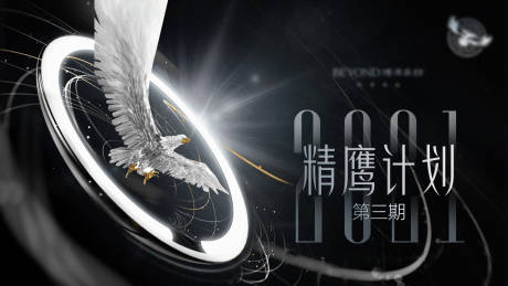 源文件下载【精鹰计划创意海报】编号：95930003788533167